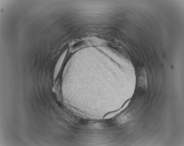 X0000067480620200605051714