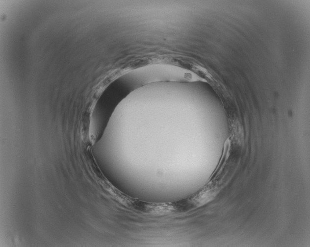 X0000067480621200605051714