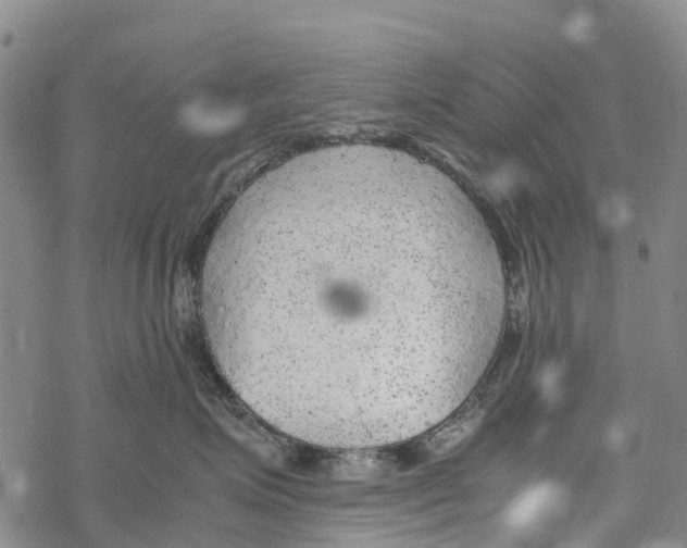 X0000067480623200605051714