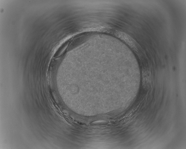 X0000067480628200605051713