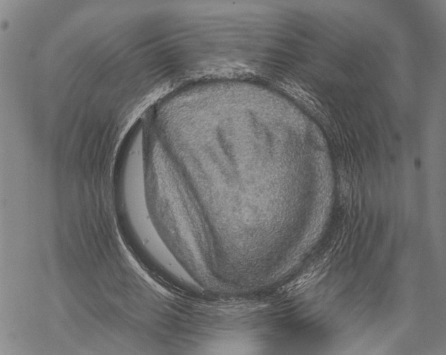 X0000067480630200605051713