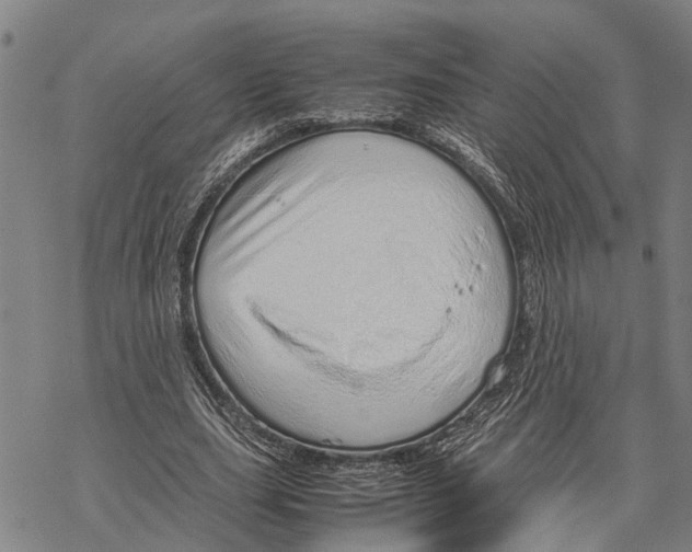 X0000067480631200605051713