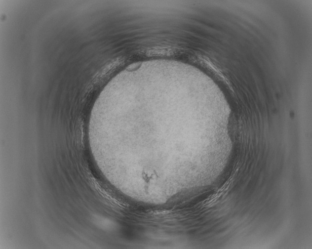 X0000067480637200605051713