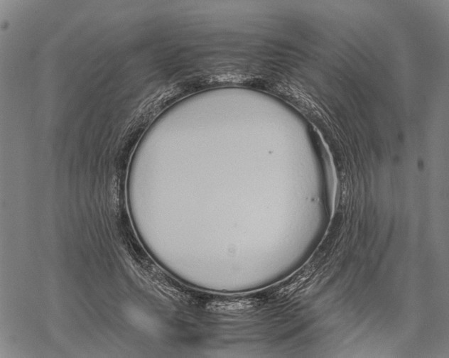 X0000067480639200605051713