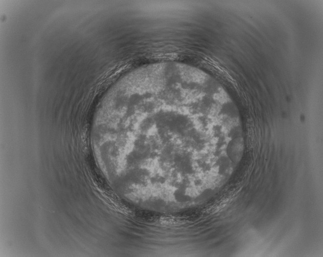 X0000067480641200605051713