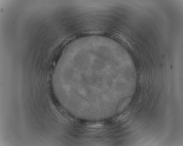 X0000067480643200605051713