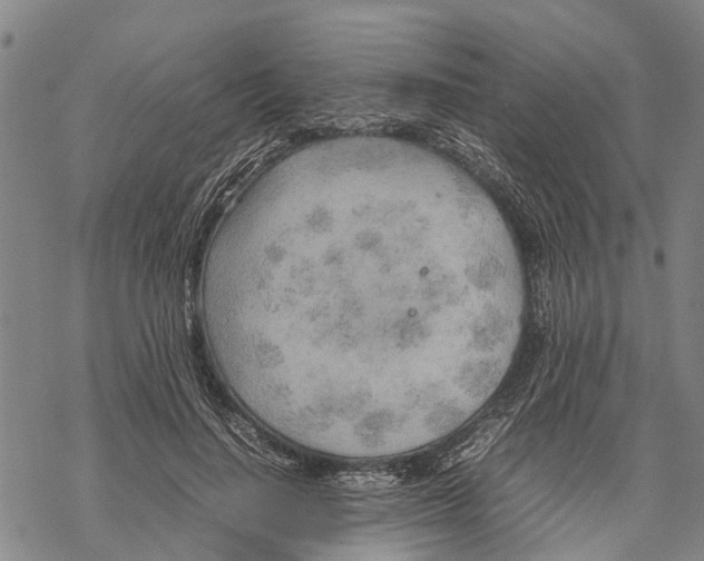 X0000067480644200605051713