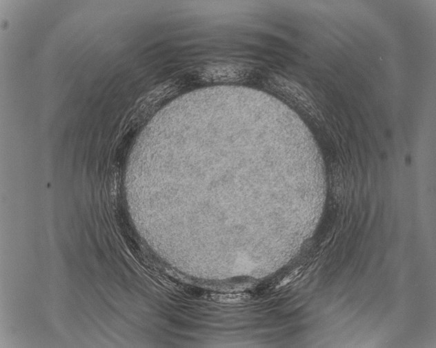 X0000067480645200605051713