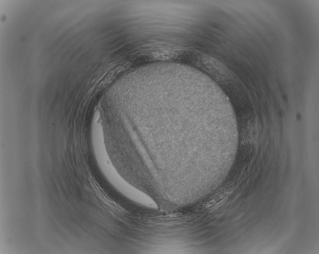 X0000067480646200605051713