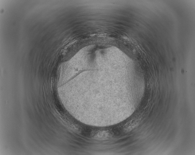 X0000067480647200605051713