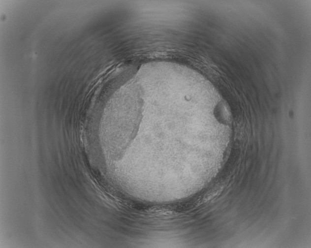 X0000067480648200605051713