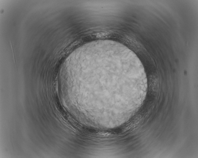 X0000067480650200605051713