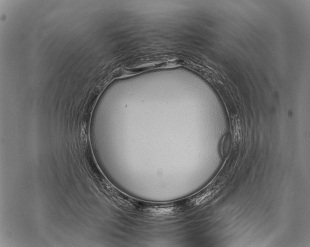 X0000067480651200605051713