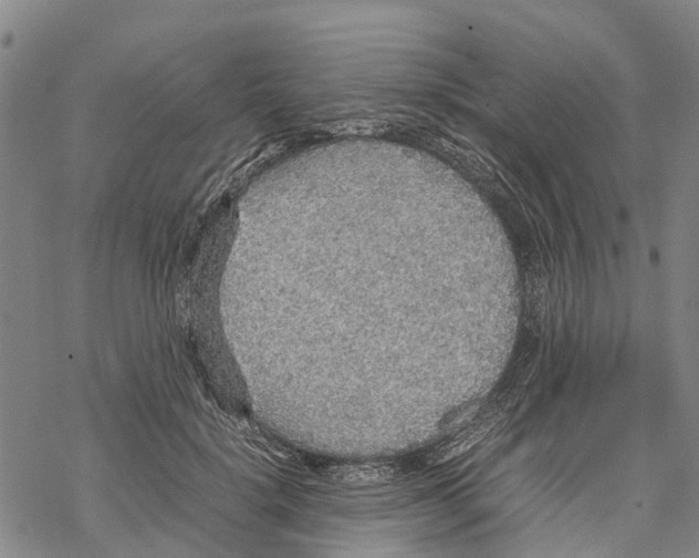 X0000067480652200605051713