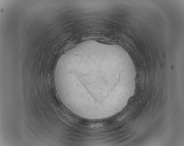 X0000067480653200605051713