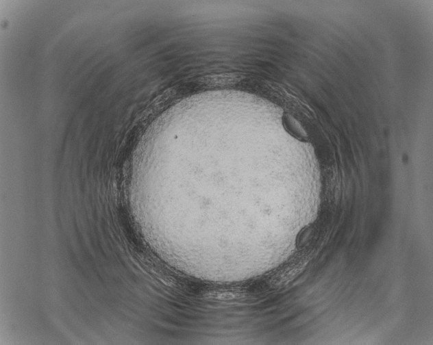 X0000067480655200605051713