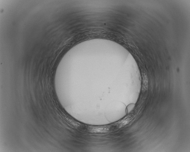 X0000067480657200605051713