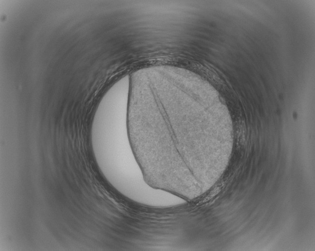 X0000067480660200605051713