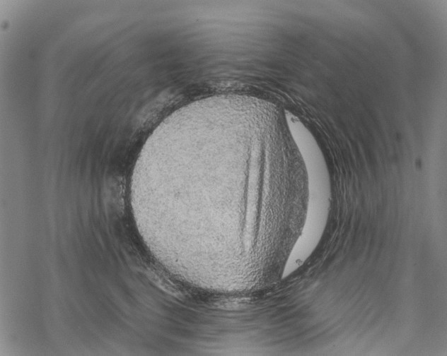 X0000067480664200605051714