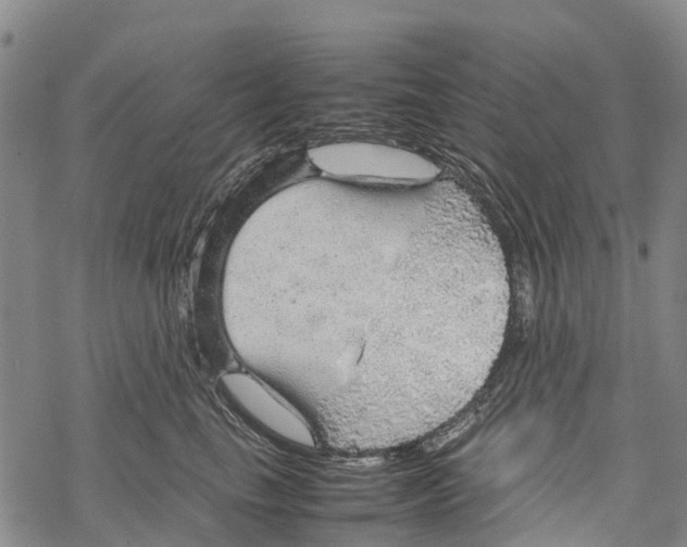 X0000067480665200605051714