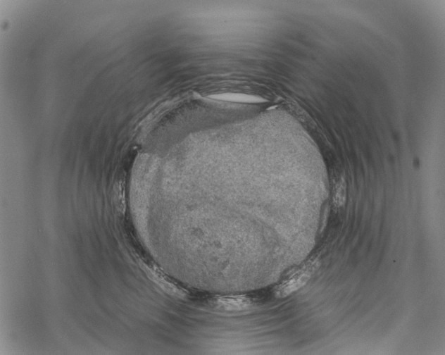 X0000067480666200605051714