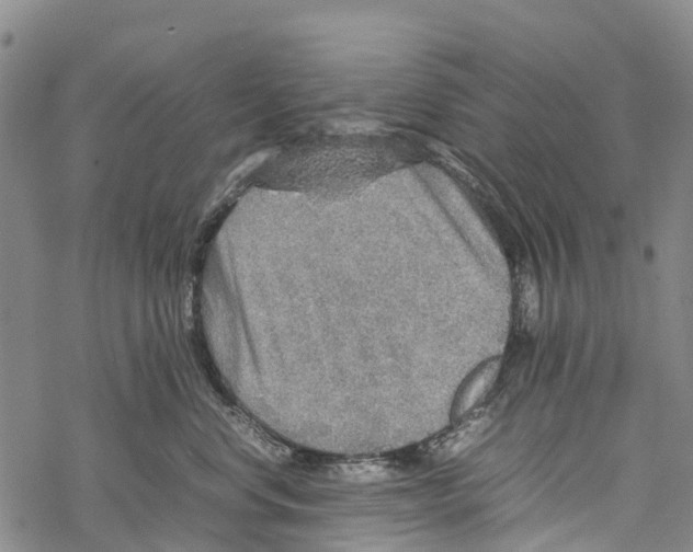 X0000067480668200605051714