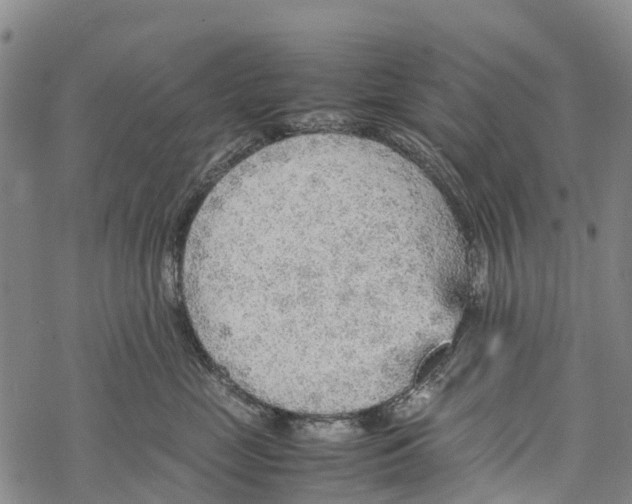 X0000067480669200605051714