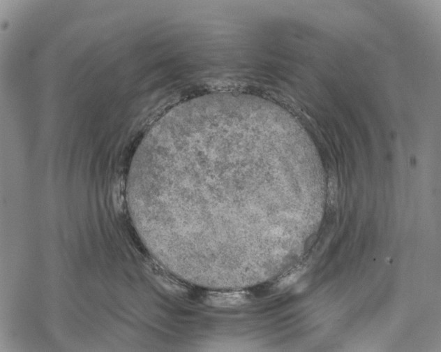 X0000067480671200605051714