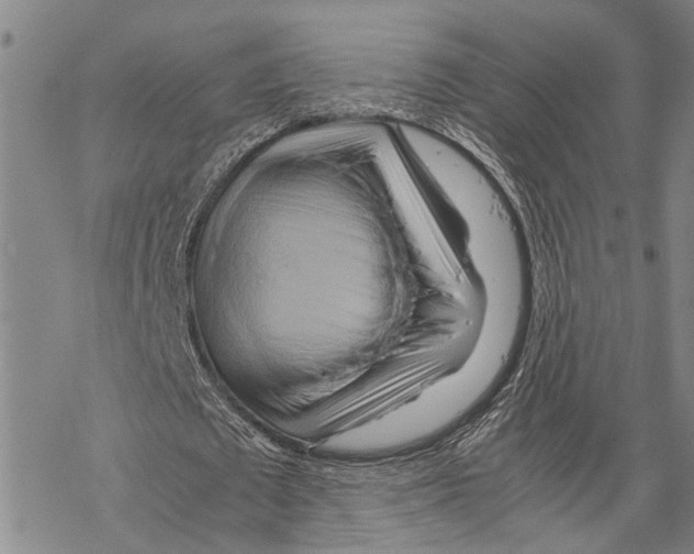 X0000067480673200605051713