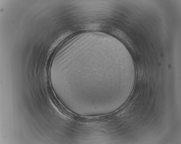 X0000067480674200605051713