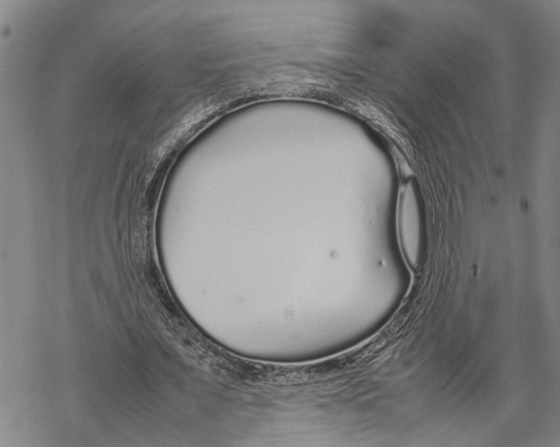 X0000067480675200605051713