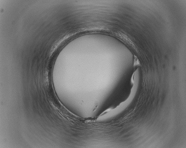 X0000067480676200605051713