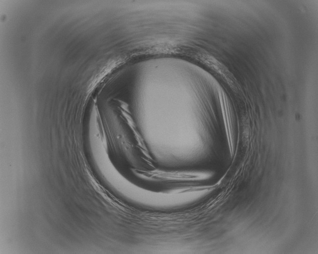 X0000067480677200605051713