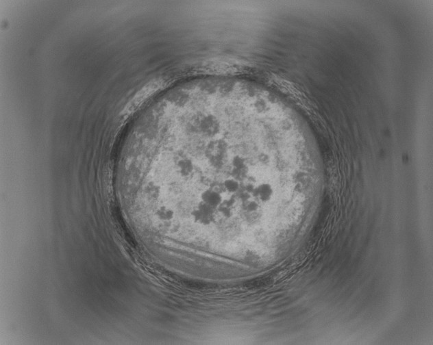 X0000067480679200605051713