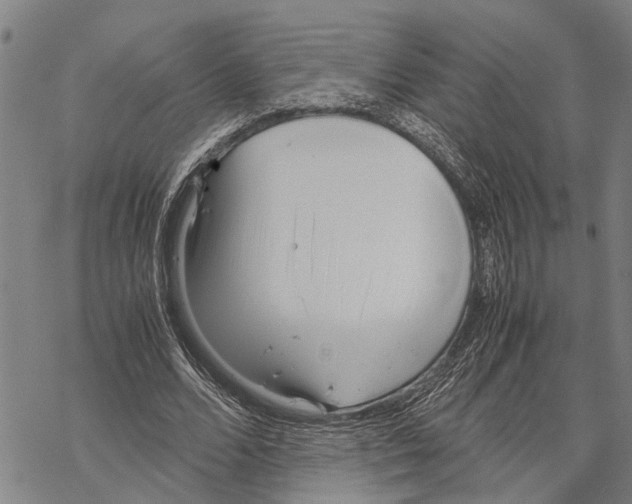 X0000067480680200605051713