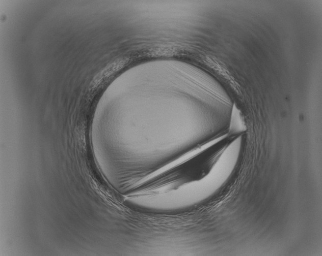 X0000067480681200605051713