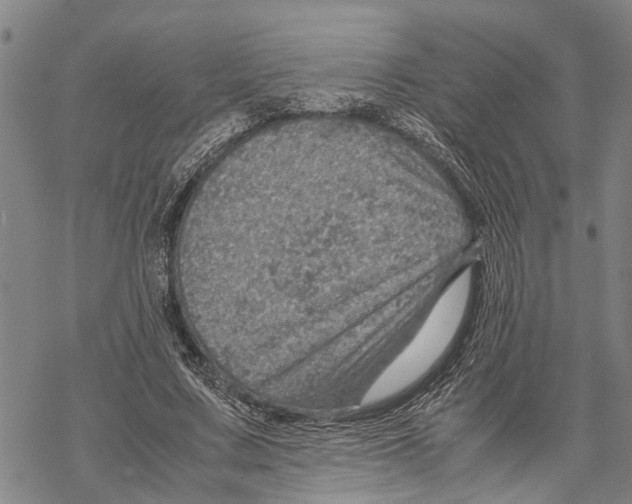 X0000067480683200605051713