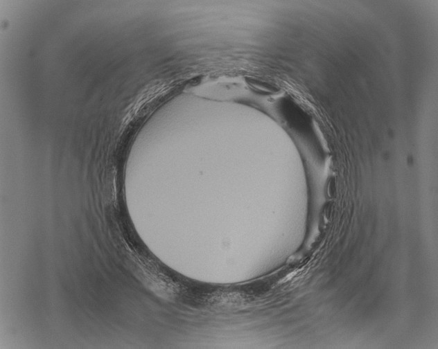 X0000067480685200605051713