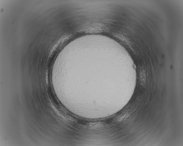 X0000067480686200605051713