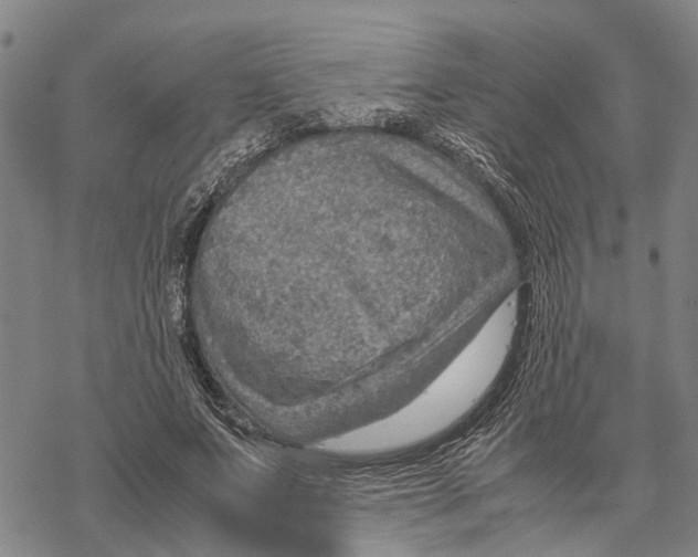 X0000067480687200605051713