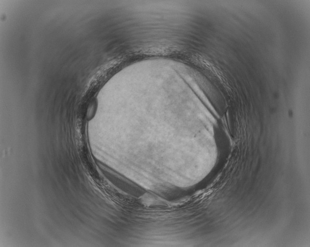 X0000067480688200605051713