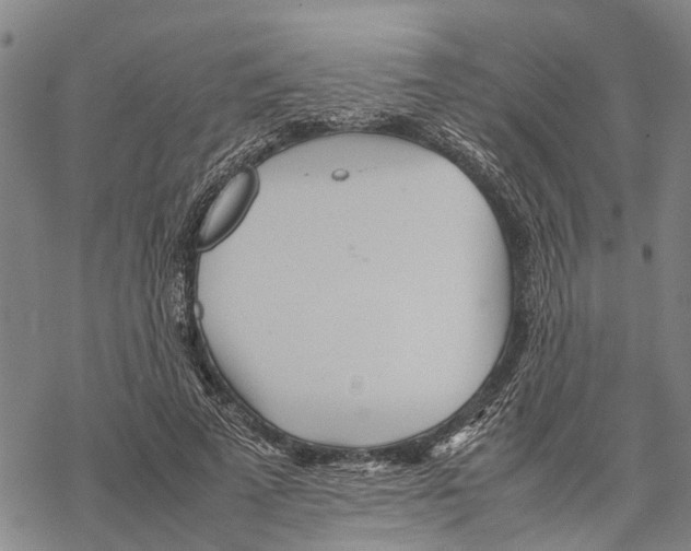 X0000067480689200605051713