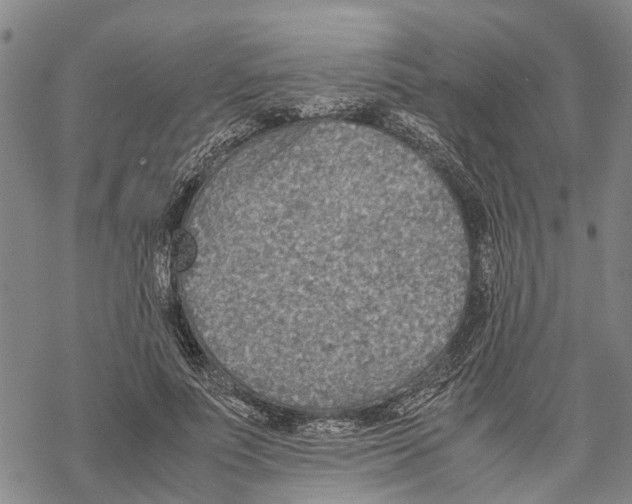 X0000067480691200605051713