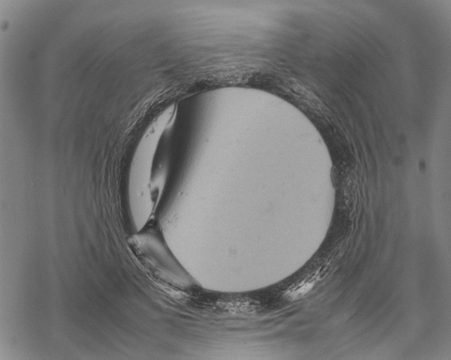 X0000067480693200605051713