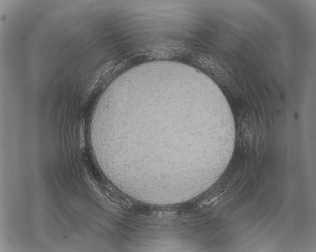 X0000067480694200605051713