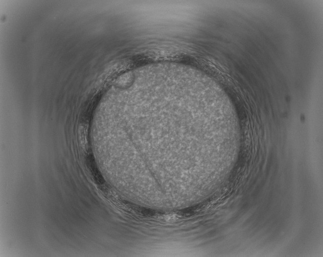 X0000067480695200605051713