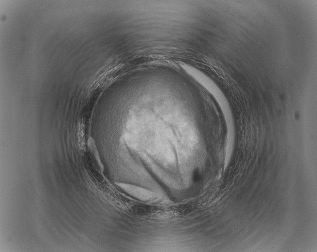 X0000067480696200605051713