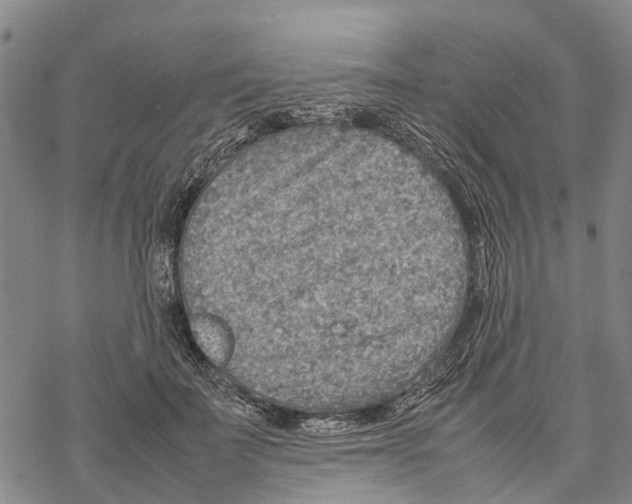 X0000067480699200605051712