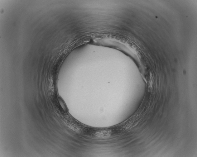 X0000067480700200605051712