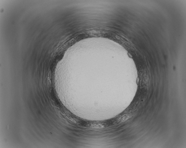 X0000067480702200605051712